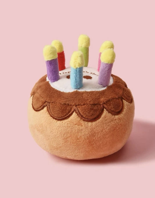 Birthday Cake Toy