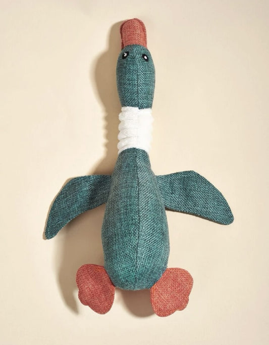 Blue Duck Toy